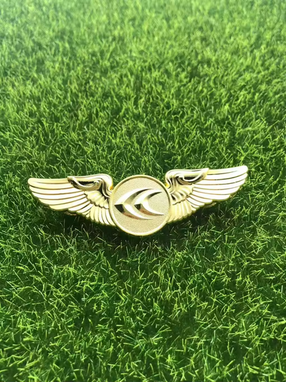 IndiaOne Air WingPin - Premium Imported Quality Zinc Alloy Pin