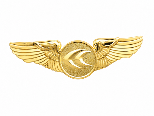 IndiaOne Air WingPin - Premium Imported Quality Zinc Alloy Pin