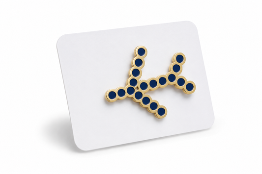 IndiGo Logo Lapel Pin – Premium Airline Collectible Aviation Badge
